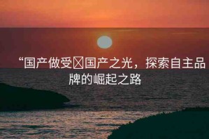 “國(guó)產(chǎn)做受?國(guó)產(chǎn)之光，探索自主品牌的崛起之路