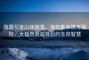 強震引發(fā)山體崩落，海豹集體跳海避險，大自然奇觀背后的生存智慧