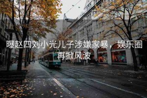 曝趙四劉小光兒子涉嫌家暴，娛樂圈再掀風(fēng)波