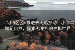 “小??戳進去無遮擋動”小雛雞踏足自然，探索無遮擋的生機世界