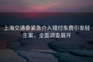 上海交通委緊急介入錯(cuò)付車費(fèi)引發(fā)輕生案，全面調(diào)查展開(kāi)