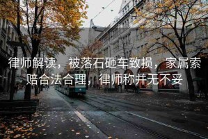 律師解讀，被落石砸車致?lián)p，家屬索賠合法合理，律師稱并無不妥