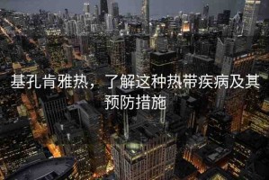 基孔肯雅熱，了解這種熱帶疾病及其預(yù)防措施