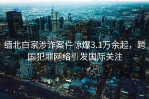 緬北白家涉詐案件驚爆3.1萬余起，跨國犯罪網(wǎng)絡(luò)引發(fā)國際關(guān)注
