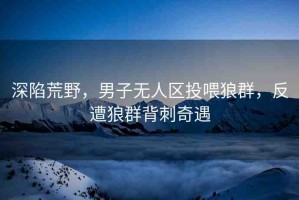 深陷荒野，男子無人區(qū)投喂狼群，反遭狼群背刺奇遇