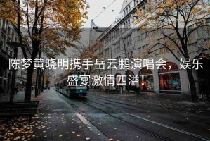陳夢(mèng)黃曉明攜手岳云鵬演唱會(huì)，娛樂盛宴激情四溢！