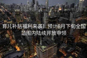 育兒補(bǔ)貼福利來襲！預(yù)計(jì)8月下旬全國范圍內(nèi)陸續(xù)開放申領(lǐng)