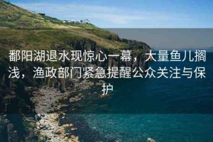 鄱陽(yáng)湖退水現(xiàn)驚心一幕，大量魚(yú)兒擱淺，漁政部門(mén)緊急提醒公眾關(guān)注與保護(hù)