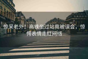 驚呆老外！高鐵坐過站竟被誤會，驚愕表情走紅網(wǎng)絡(luò)