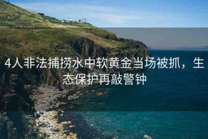 4人非法捕撈水中軟黃金當(dāng)場被抓，生態(tài)保護(hù)再敲警鐘