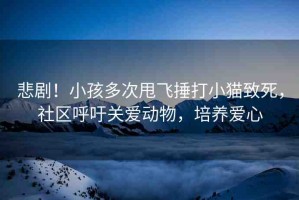 悲??！小孩多次甩飛捶打小貓致死，社區(qū)呼吁關(guān)愛動物，培養(yǎng)愛心
