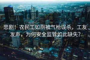 悲?。∞r(nóng)民工如廁被氣槍誤殺，工友發(fā)聲，為何安全監(jiān)管如此缺失？