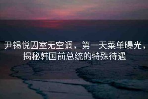 尹錫悅囚室無空調(diào)，第一天菜單曝光，揭秘韓國前總統(tǒng)的特殊待遇