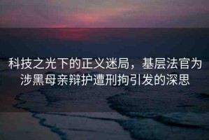 科技之光下的正義迷局，基層法官為涉黑母親辯護遭刑拘引發(fā)的深思