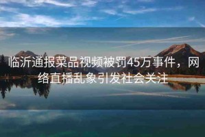臨沂通報(bào)菜品視頻被罰45萬(wàn)事件，網(wǎng)絡(luò)直播亂象引發(fā)社會(huì)關(guān)注
