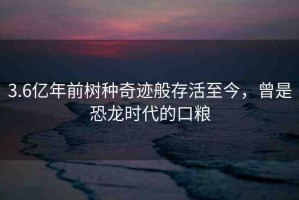 3.6億年前樹(shù)種奇跡般存活至今，曾是恐龍時(shí)代的口糧