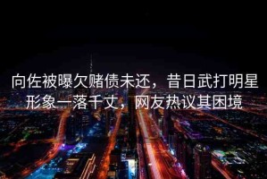 向佐被曝欠賭債未還，昔日武打明星形象一落千丈，網(wǎng)友熱議其困境