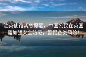 駐英使館緊急提醒，中國公民在英國需加強安全防范，警惕各類風(fēng)險！