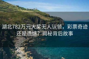 湖北782萬(wàn)元大獎(jiǎng)無(wú)人認(rèn)領(lǐng)，彩票奇跡還是遺憾？揭秘背后故事