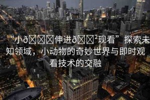 “小??伸進??現看”探索未知領域，小動物的奇妙世界與即時觀看技術的交融