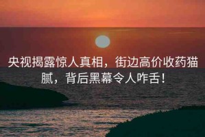 央視揭露驚人真相，街邊高價(jià)收藥貓膩，背后黑幕令人咋舌！