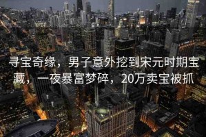 尋寶奇緣，男子意外挖到宋元時(shí)期寶藏，一夜暴富夢(mèng)碎，20萬賣寶被抓
