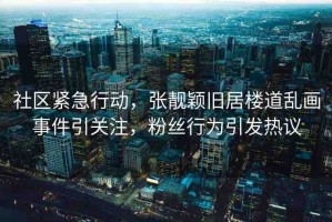 社區(qū)緊急行動，張靚穎舊居樓道亂畫事件引關注，粉絲行為引發(fā)熱議