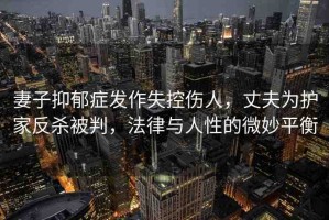 妻子抑郁癥發(fā)作失控傷人，丈夫?yàn)樽o(hù)家反殺被判，法律與人性的微妙平衡