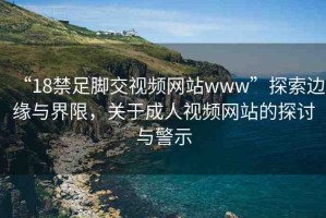 “18禁足腳交視頻網(wǎng)站www”探索邊緣與界限，關(guān)于成人視頻網(wǎng)站的探討與警示