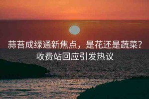 蒜苔成綠通新焦點，是花還是蔬菜？收費站回應(yīng)引發(fā)熱議