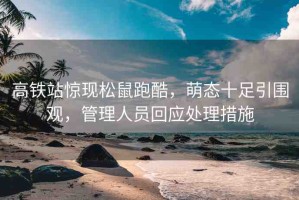 高鐵站驚現(xiàn)松鼠跑酷，萌態(tài)十足引圍觀，管理人員回應(yīng)處理措施