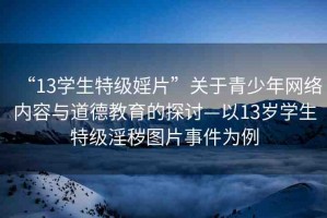 “13學(xué)生特級(jí)婬片”關(guān)于青少年網(wǎng)絡(luò)內(nèi)容與道德教育的探討—以13歲學(xué)生特級(jí)淫穢圖片事件為例