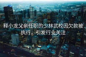 釋小龍父親任職的少林武校因欠款被執(zhí)行，引發(fā)行業(yè)關(guān)注