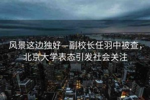 風(fēng)景這邊獨(dú)好—副校長(zhǎng)任羽中被查，北京大學(xué)表態(tài)引發(fā)社會(huì)關(guān)注