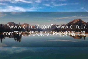 “www.crm.17.com”www.crm.17.com下的自然風(fēng)景與CRM的和諧共鳴