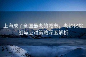 上海成了全國(guó)最老的城市，老齡化挑戰(zhàn)與應(yīng)對(duì)策略深度解析