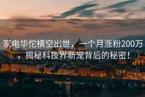 家電華佗橫空出世，一個月漲粉200萬，揭秘科技界新寵背后的秘密！