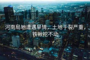 河南局地遭遇旱情，土地干裂嚴(yán)重，鐵鍬挖不動