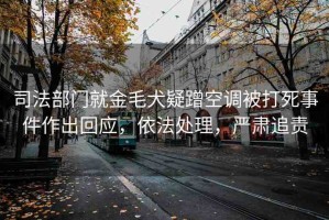 司法部門就金毛犬疑蹭空調(diào)被打死事件作出回應(yīng)，依法處理，嚴肅追責(zé)