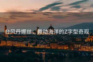 臺(tái)風(fēng)丹娜絲，舞動(dòng)海洋的Z字型奇觀