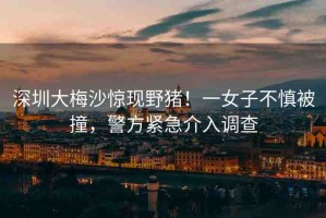 深圳大梅沙驚現(xiàn)野豬！一女子不慎被撞，警方緊急介入調(diào)查