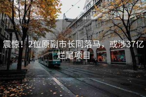 震驚！2位原副市長(zhǎng)同落馬，或涉37億爛尾項(xiàng)目