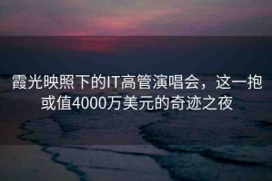 霞光映照下的IT高管演唱會，這一抱或值4000萬美元的奇跡之夜