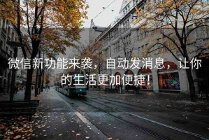 微信新功能來(lái)襲，自動(dòng)發(fā)消息，讓你的生活更加便捷！