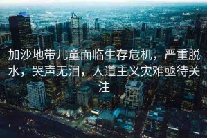 加沙地帶兒童面臨生存危機(jī)，嚴(yán)重脫水，哭聲無淚，人道主義災(zāi)難亟待關(guān)注