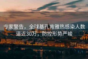 專家警告，全球基孔肯雅熱感染人數(shù)逼近30萬，防控形勢嚴(yán)峻
