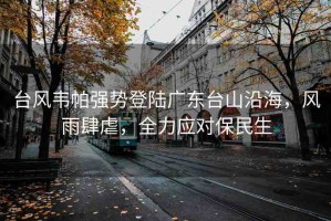臺風(fēng)韋帕強勢登陸廣東臺山沿海，風(fēng)雨肆虐，全力應(yīng)對保民生