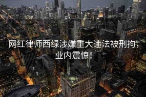 網(wǎng)紅律師西綠涉嫌重大違法被刑拘，業(yè)內(nèi)震驚！