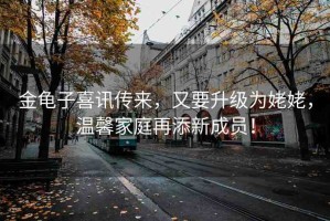 金龜子喜訊傳來，又要升級為姥姥，溫馨家庭再添新成員！