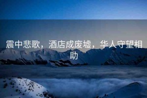 震中悲歌，酒店成廢墟，華人守望相助